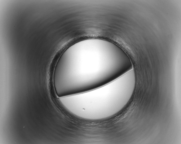 X0000094340440200711021152