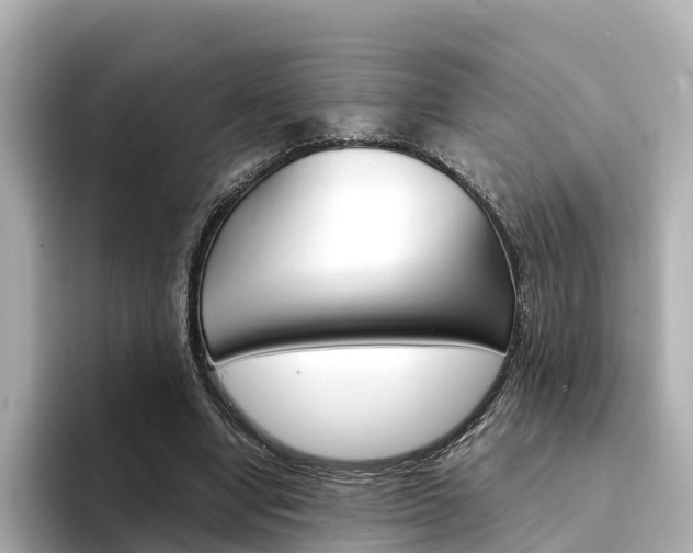 X0000094340442200711021152