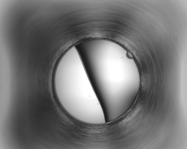 X0000094340445200711021152
