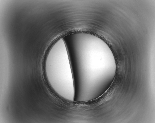 X0000094340446200711021152