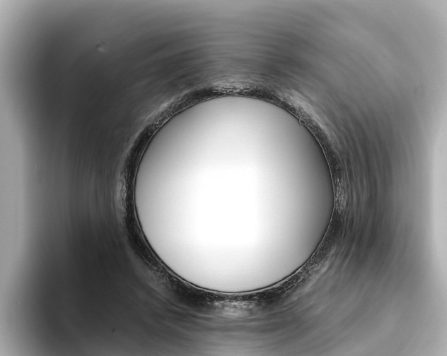 X0000094340448200711021152