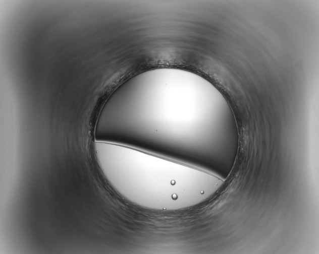 X0000094340450200711021152