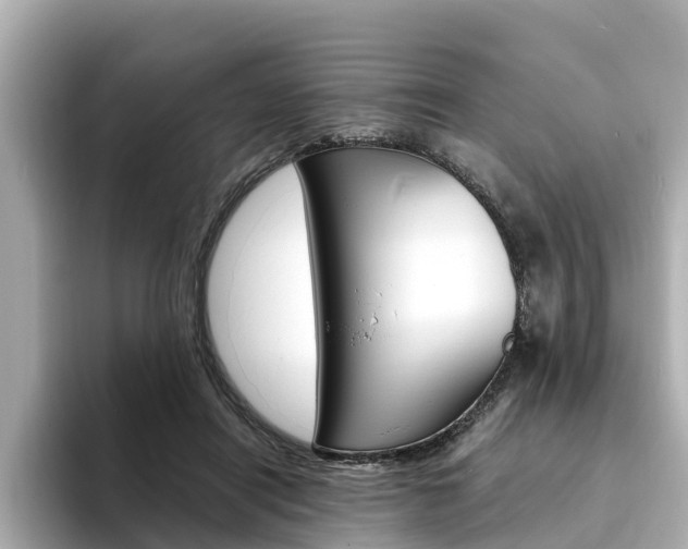 X0000094340454200711021152