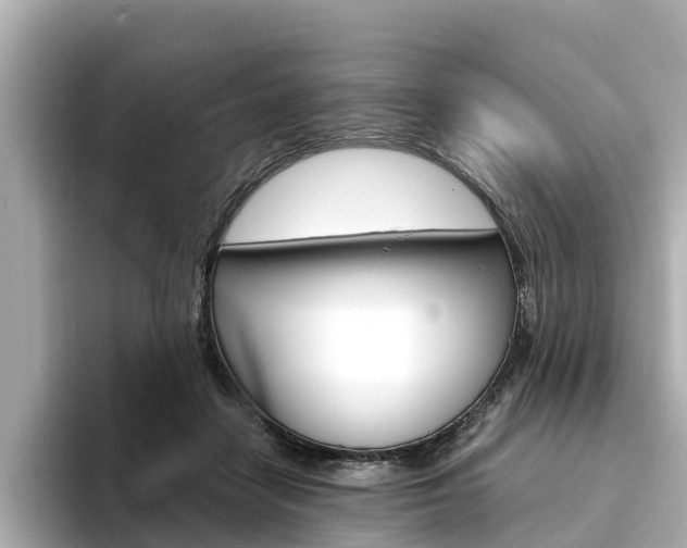 X0000094340458200711021152