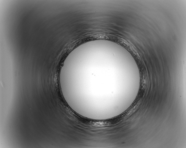 X0000094340473200711021152