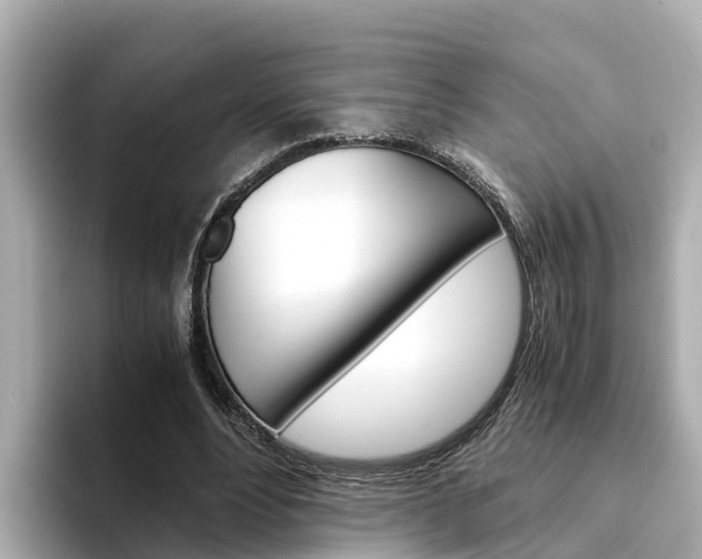 X0000094340488200711021152