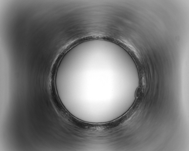 X0000094340492200711021152