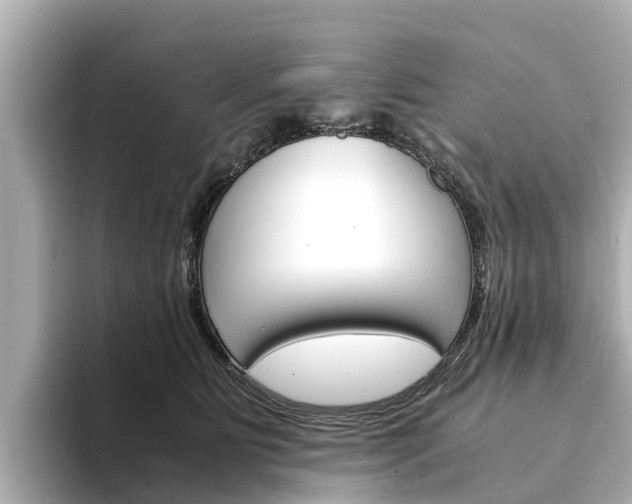 X0000094340515200711021151