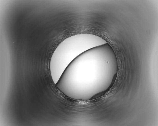 X0000094340528200711021151