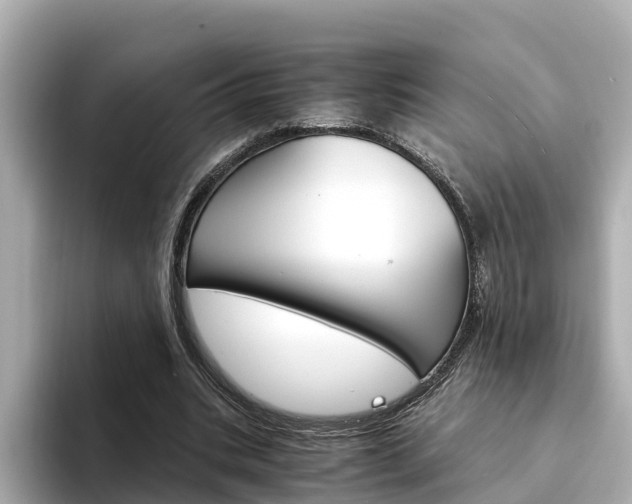 X0000094340535200711021151