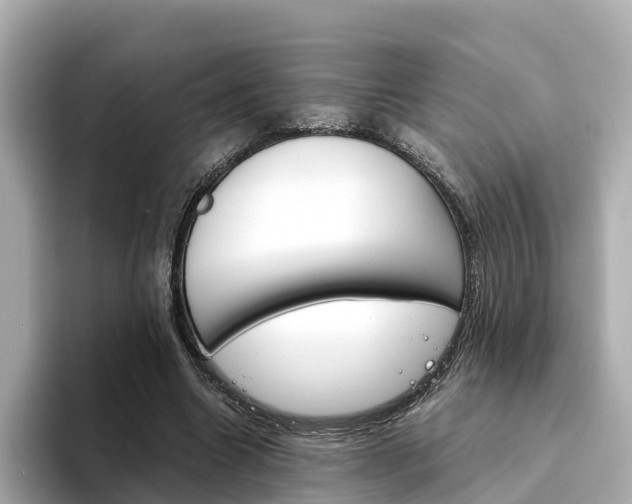X0000094340538200711021151