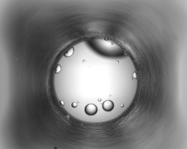 X0000094340539200711021151