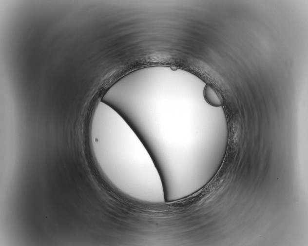 X0000094340542200711021151