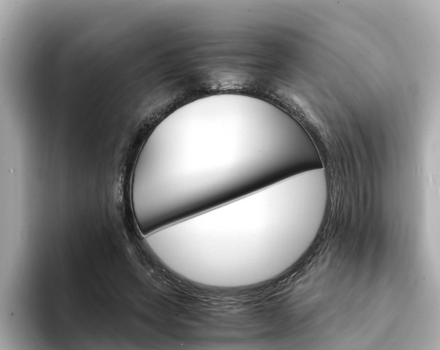 X0000094340543200711021151