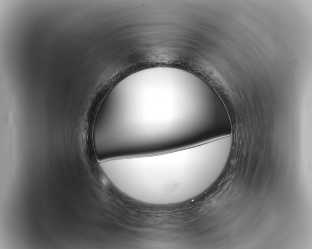 X0000094340544200711021151