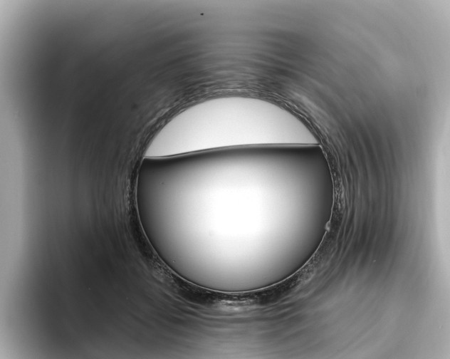 X0000094340556200711021151