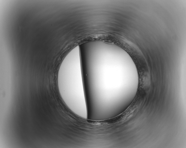 X0000094340558200711021151