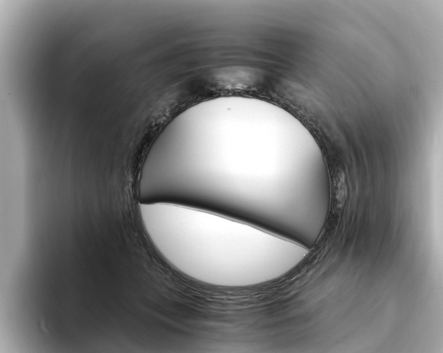 X0000094340559200711021151