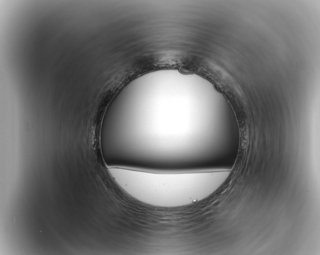 X0000094340560200711021151