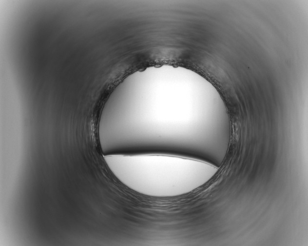 X0000094340575200711021151