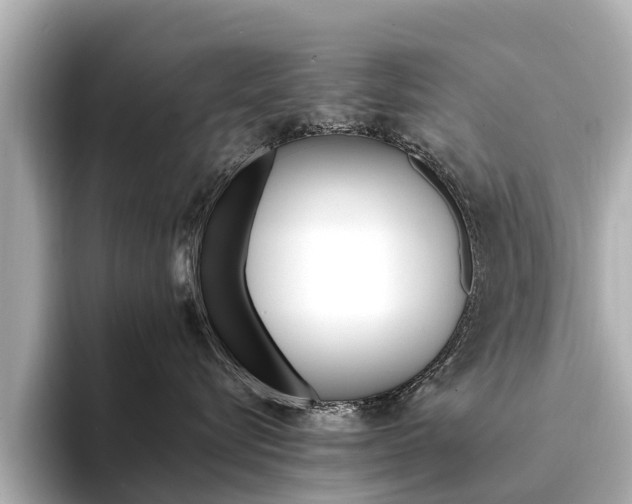 X0000094340576200711021151