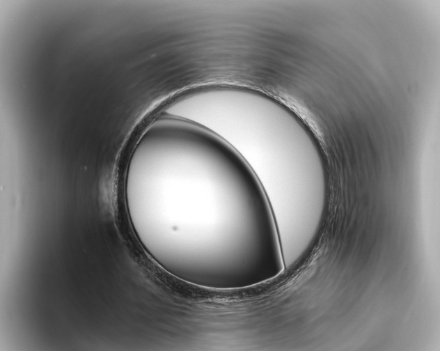X0000094340580200711021151