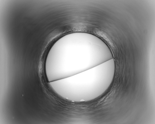 X0000094340583200711021151
