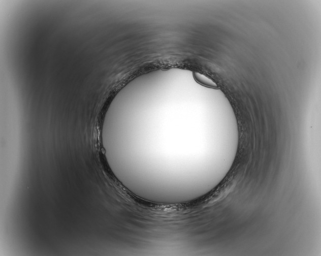 X0000094340624200711021150