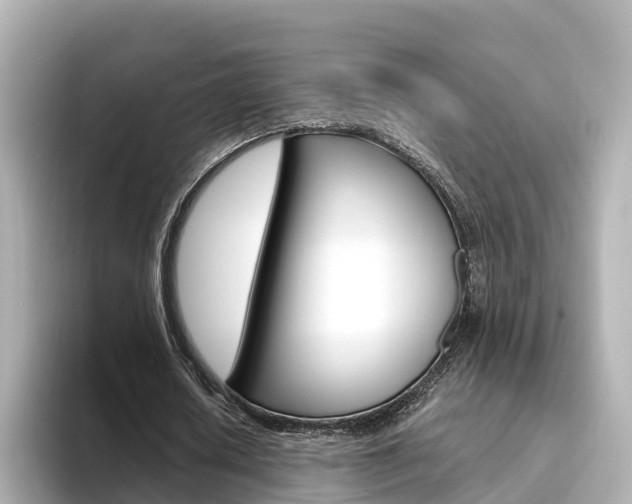 X0000094340626200711021150