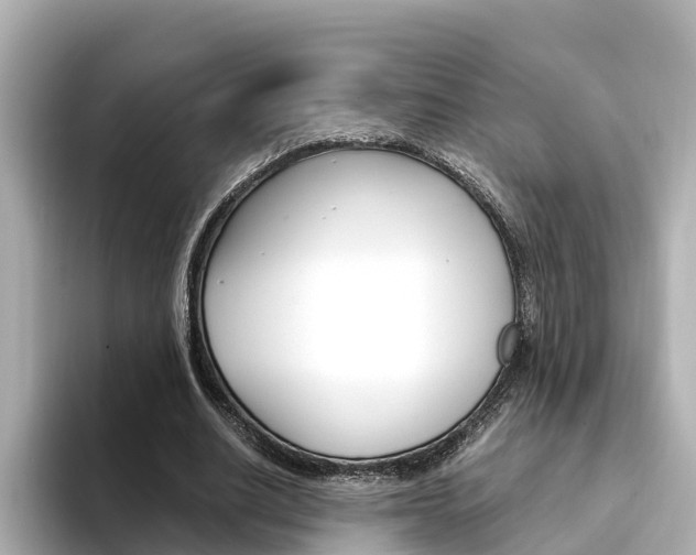 X0000094340630200711021150