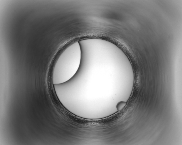 X0000094340636200711021150