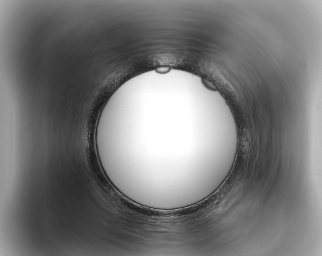 X0000094340639200711021150