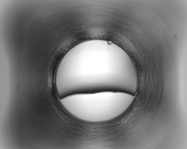 X0000094340644200711021150