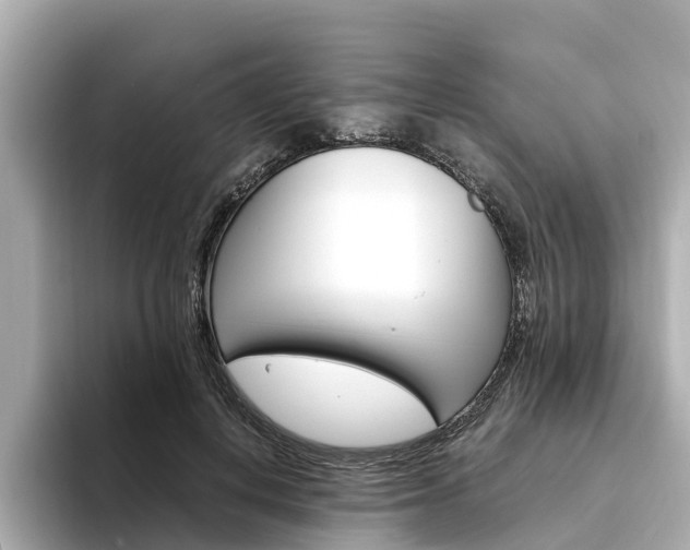 X0000094340648200711021150