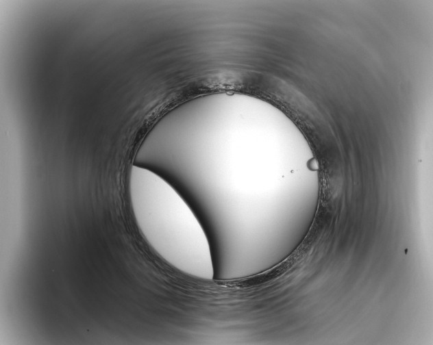 X0000094340652200711021150