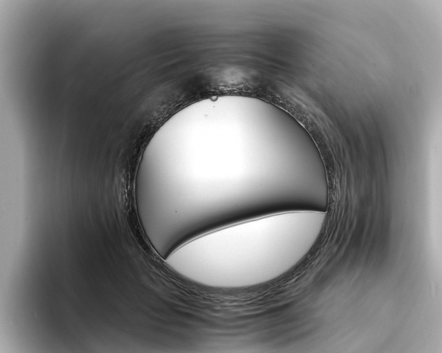 X0000094340653200711021150