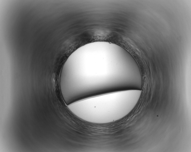 X0000094340655200711021150