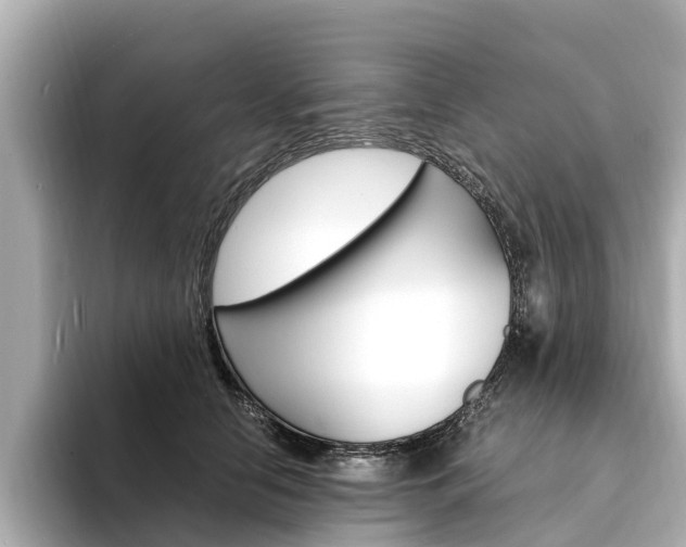 X0000094340658200711021150