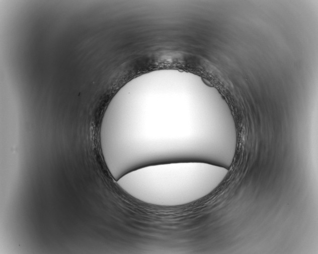X0000094340659200711021150