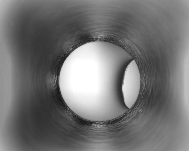 X0000094340660200711021150