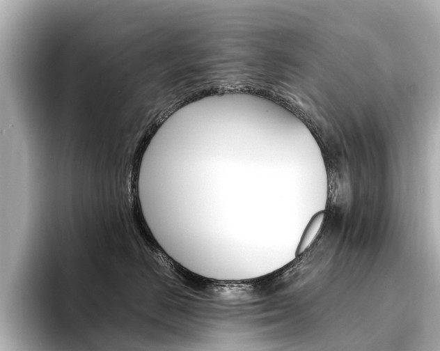 X0000094340670200711021150
