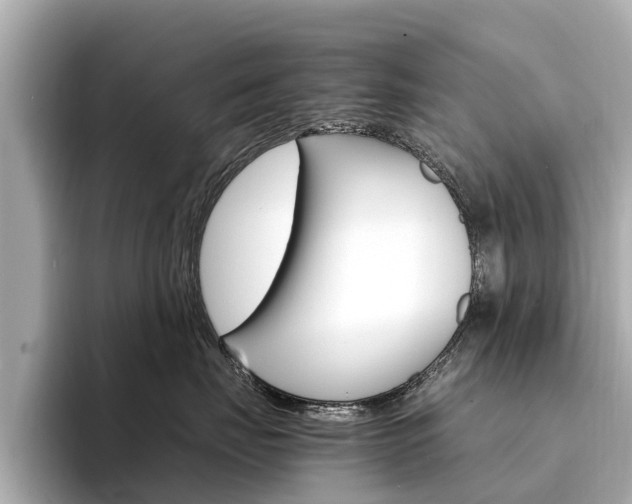 X0000094340671200711021150