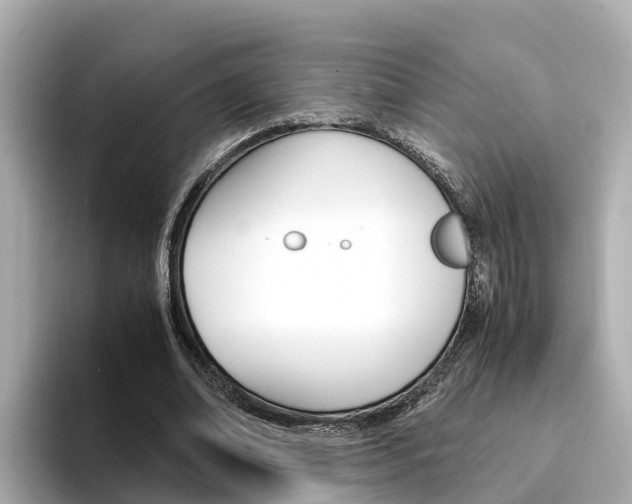 X0000094340678200711021149