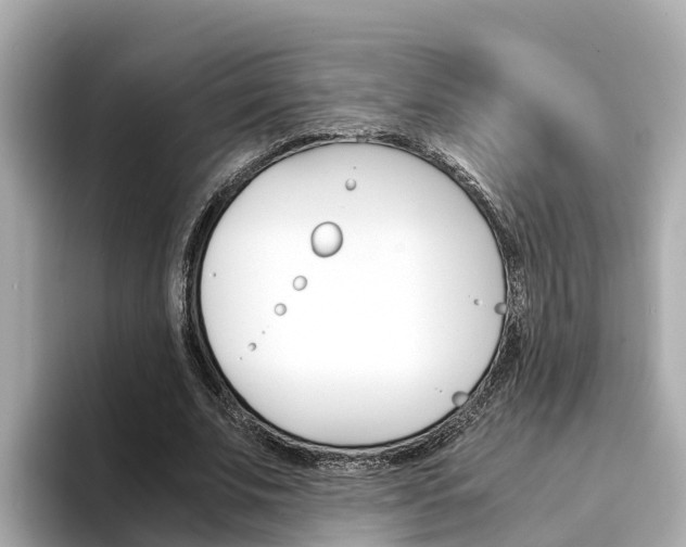 X0000094340679200711021149