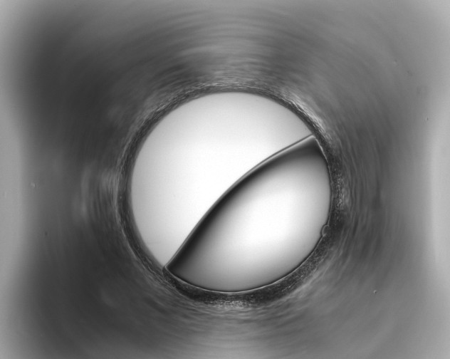 X0000094340685200711021149