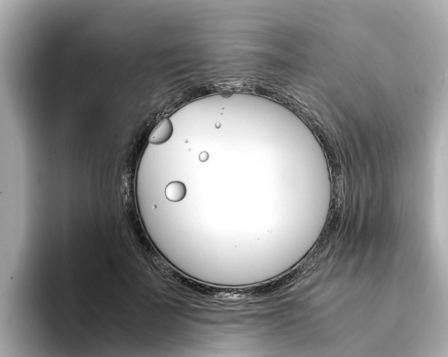 X0000094340699200711021149