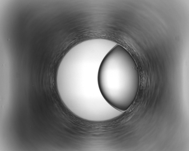 X0000094340700200711021149