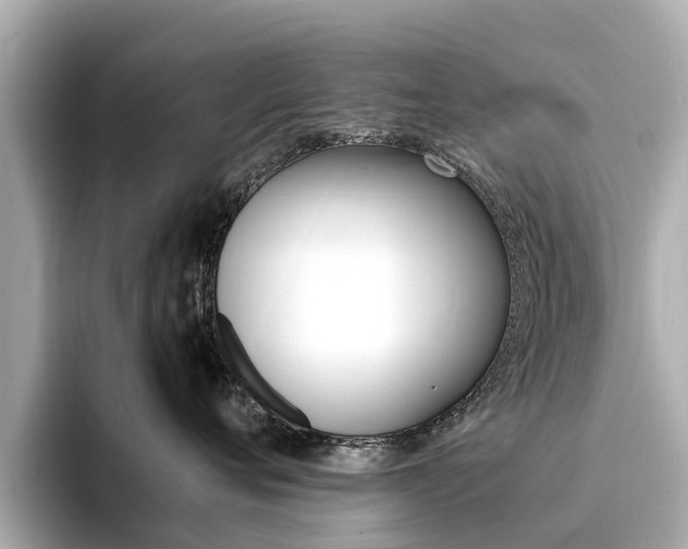 X0000094340720200711021149