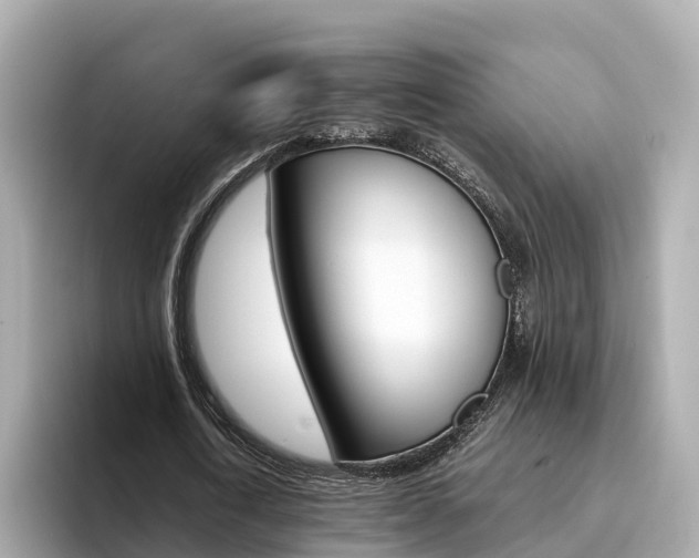 X0000094340722200711021148