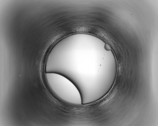 X0000094340725200711021148